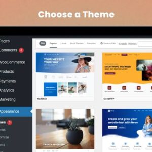 WordPress premium theme
